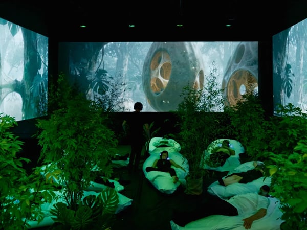 Sleep for Earth
