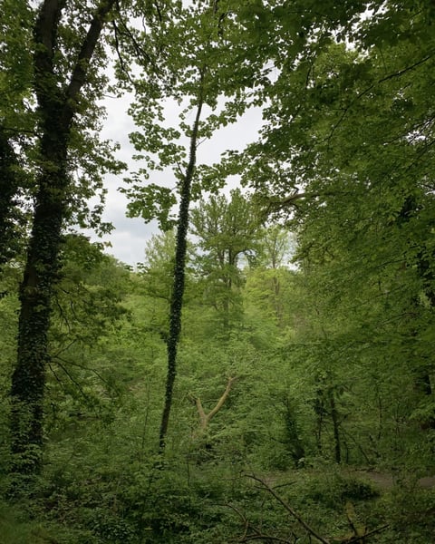 Remains