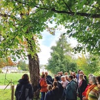 Circuit : balade nature à la découverte des arbres et de leurs vertus