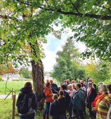Circuit : balade nature à la découverte des arbres et de leurs vertus