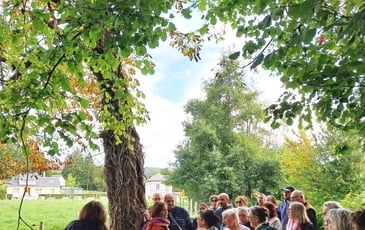 Circuit : balade nature à la découverte des arbres et de leurs vertus
