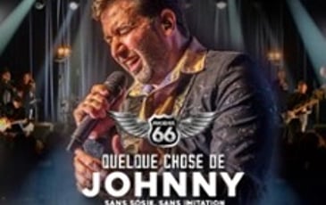 Quelque Chose Johnny
