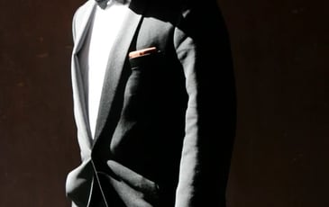 Sinatra : The Voice is Back
