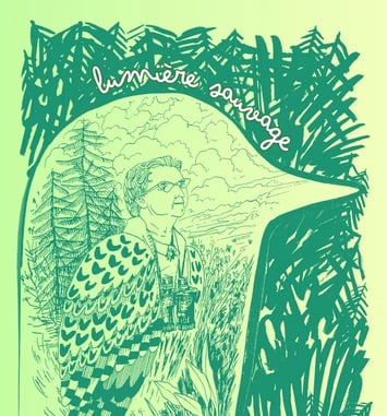 Lumière sauvage