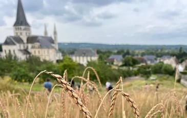 Atelier : couronne des moissons