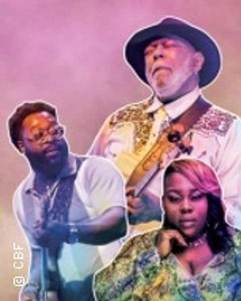 Chicago Blues Festival
