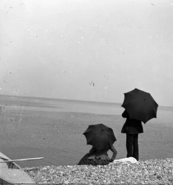 Visite guidée flash : Photographie, les dernières acquisitions du musée