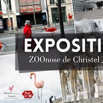 Exposition ZOOnose de Christel Jeanne