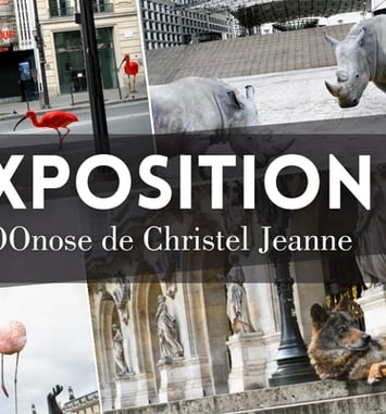 Exposition ZOOnose de Christel Jeanne