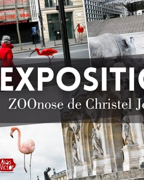 Exposition ZOOnose de Christel Jeanne