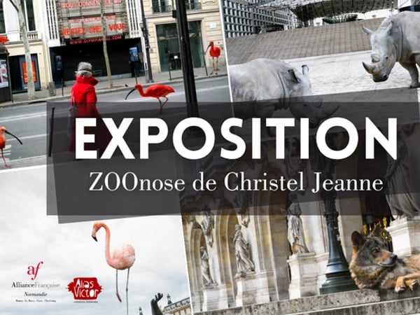 Exposition ZOOnose de Christel Jeanne