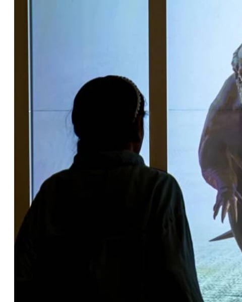 Animation Dinosaures