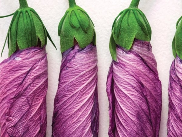 Exposition : Laurent Bessol - Cheminer avec les herbes
