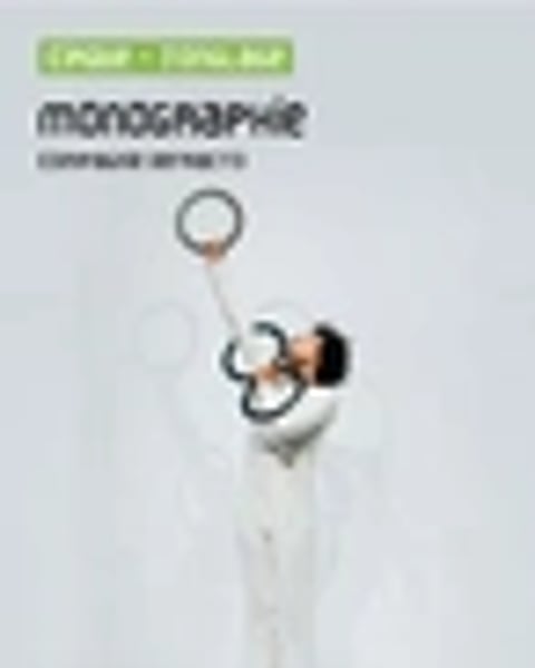Monographie - Cirque contemporain par la Compagnie Defracto