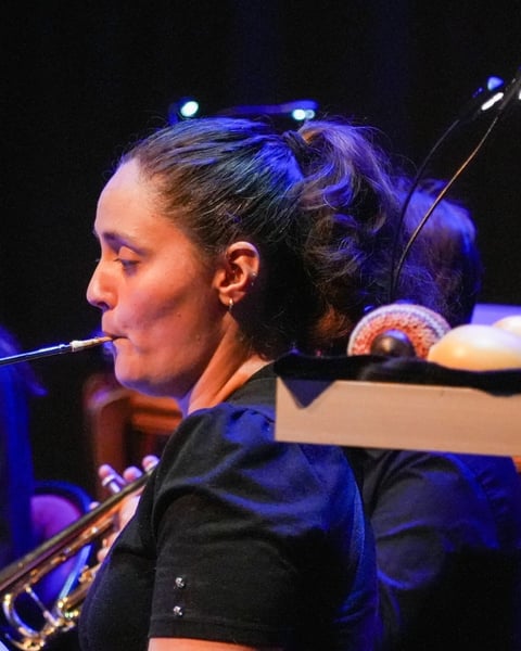 Ensemble des bassons