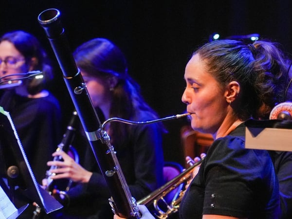 Ensemble des bassons