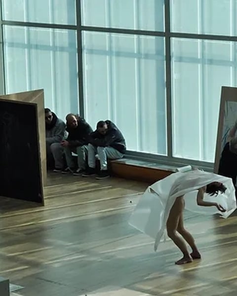 Spectacle de danse, Horizon - Compagnie Du Vivant Sous Les Plis