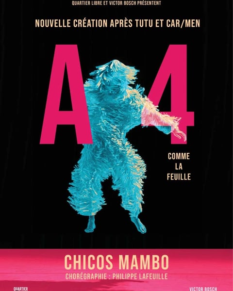 Danse : A4 (Comme la feuille) - Compagnie Chicos Mambos - Philippe Lafeuille