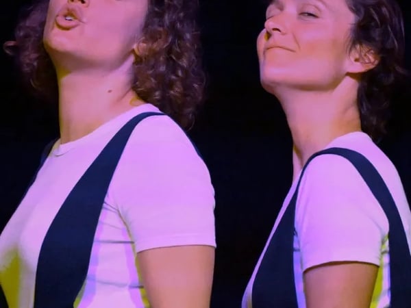 Théâtre : Madame Bovary en plus drôle et moins long