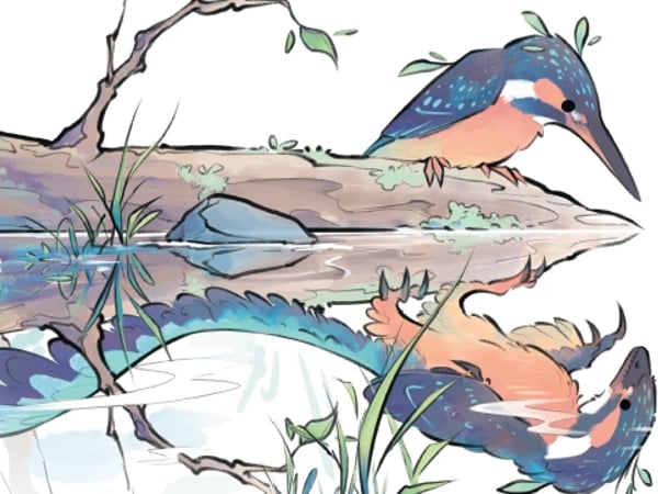 Exposition - Des dinosaures aux oiseaux