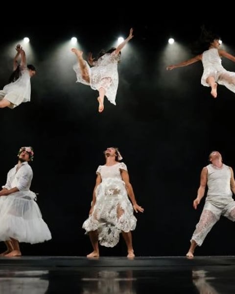 Orphées