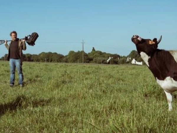 Mon père avait 3 vaches