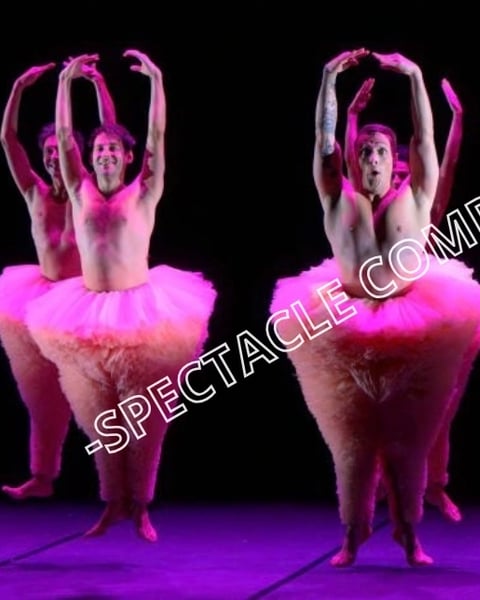 Spectacle danse humour "Tutu"