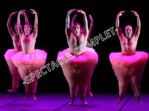 Spectacle danse humour "Tutu"