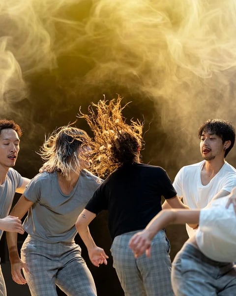 Ballet de l’Opéra de Lyon