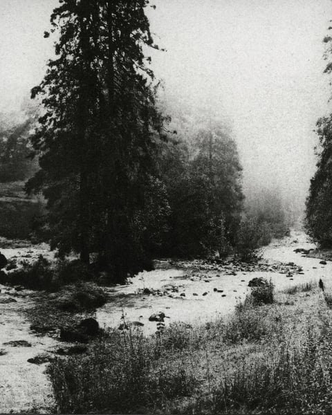 Presque l'Invisible
