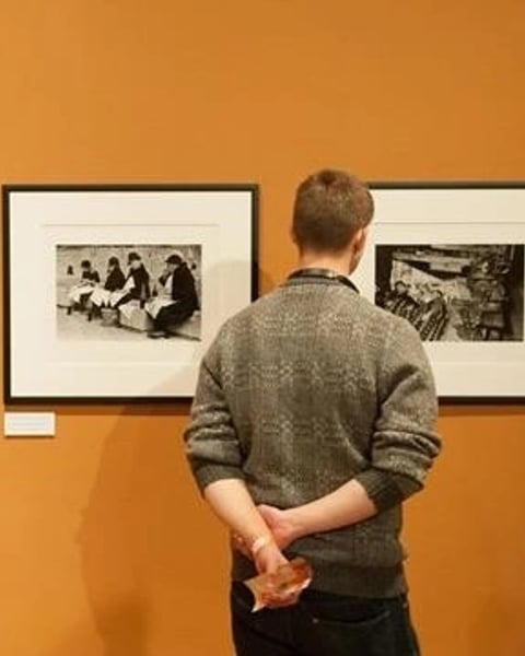Phorestimalia : Exposition