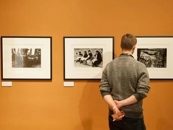 Phorestimalia : Exposition